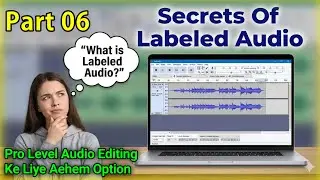 Labeled Audio Use Karne Ka Sahi Tarika! Audacity Labeled Audio Editing | Audacity Course Part 06
