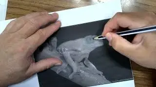 Colored Pencils on Colored Paper Drawing: How to Create Your Own Transfer Image  Video 1