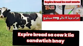 Easy pakistani food recpie 