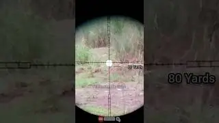 Air Rifle Plinking @80yards || unrelated PCP #airrifleshooting