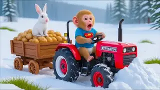 Monkey Farmer Harvests Potatoes in the Snow and Rescues an Injured Rabbit – Monkey Farm Work