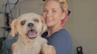 Boost Your Shelter's Funds with My Pet Matters