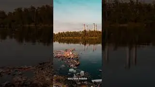pollution affecting taj mahal