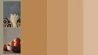 November Colour Palette (Branding Post!)
