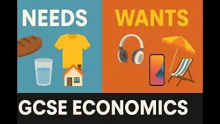 Needs vs Wants Explained | AQA GCSE Economics Revision with Mr  G
