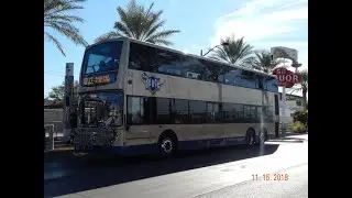 ►►𝙁𝘼𝙎𝙏 𝙁𝙊𝙍𝙒𝘼𝙍𝘿►► RTC of Southern Nevada (Las Vegas): Line 113 | 𝑭𝒖𝒍𝒍 𝑹𝒊𝒅𝒆