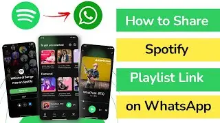 How to Share Spotify Playlist Link on WhatsApp?