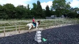 Buzz canter right 2