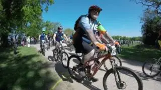 Wild Boar Chase 2016