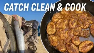 One Day Survival At Bhitkhori | Catch & Cook Challenge | Spearfishing in Karachi | 