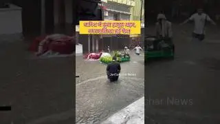 बारिश में डूबा हापुड़, नगरपालिका हुई फेल⭐⭐|| #viral #shorts #trending #rain #hapur #waterlogging