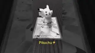 Pikachu⚡️#pokemon