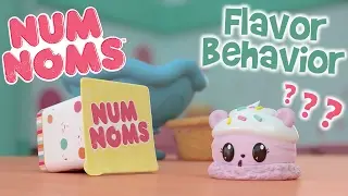 Flavor Behavior |  Guess That Flavor! | Num Noms