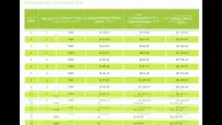 Payment Illustration of Preferred Series
