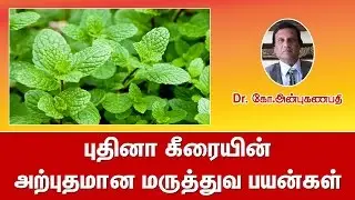 புதினா கீரையின் அற்புதமான மருத்துவ பயன்கள் | Mint medicinal uses in tamil