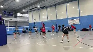 Southeast Showdown