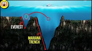 Sorprendente scoperta nella Fossa delle Marianne