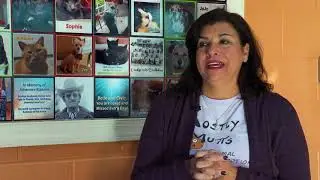 Mostly Mutts (Community Service Video)