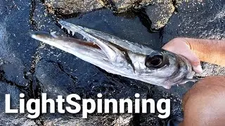 Dos Locos por la Pesca [ Contra Viento y Marea ] | LightSpinning en Canarias #11
