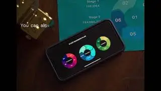 Persistence's Blockchain Explorer, Aneka