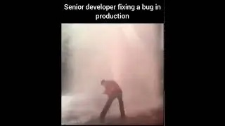 Programmer solving bug while project is Running #programmer #programming #python