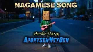 NAGAMESE SONG | Ami Mon Duk Lage - ApoktsehNexGen 