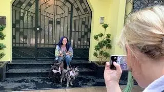 🐶 🗺  Lugares para perros en M&eacute;xico, Condesa CDMX #Airbnbexperiences PERRHIJOS dog friendly