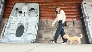 Logan 