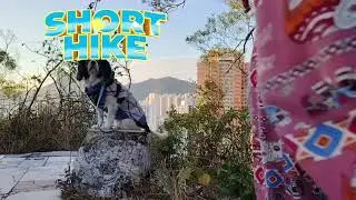 Небольшая прогулка. Природа дешевле, чем терапия.