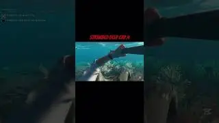 Stranded Deep Cap 4 Ataque de tibur&oacute;n.🦈