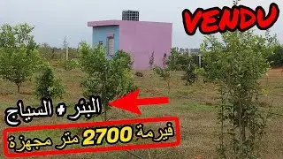 ✨فيرمة صغيرة من 2700 متر مجهزة بالسياج والبئر  ✨ تيفلت