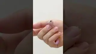 &ldquo;5-Month Gecko Growing So Fast! 🦎💚 | Daily Gecko Moment #8&rdquo;
