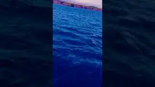 Ireland edit