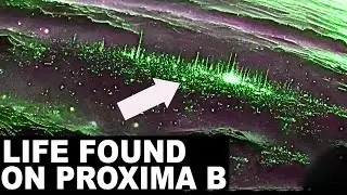 Breakthrough: Life Spotted on Proxima B by James Webb Telescope