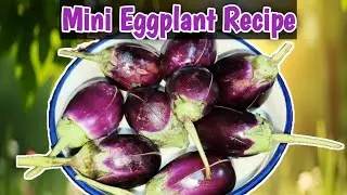  Chili Eggplant Recipe | Easy Brinjal Starter | Quick Veg Recipe#brinjalrecipe #tavafry 