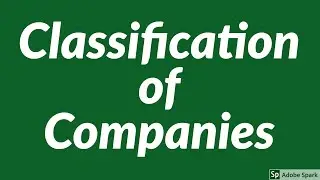 Classification of Companies & Financial Reporting Standards (Pakistan)
