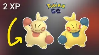 Makuhita Shiny hunt Live stream Pokemon Go #pokemongo #pokemon #shinypokemon #pokemongolive