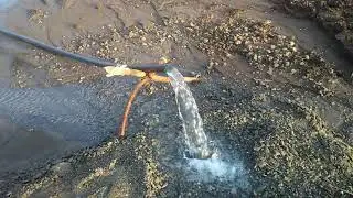 Successful water detection coconut testing