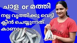 ചാള / മത്തി എളുപ്പത്തിൽ ക്ലീൻ ചെയ്യാം | Sardine fish cleaning tutorial video#video #viralvideo
