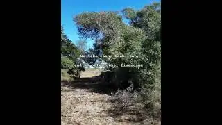 Texas Land For Sale | 12 Acres &mdash; Refugio, TX | Tract 15 #texas #realestate #acre #land #property