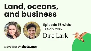 Next-gen gaming: a conversation with Trevin York, founder of Dire Lark