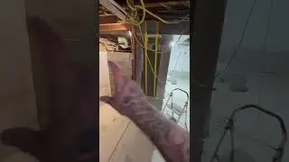 Crawl Space Wall Installation Denver Colorado 303-797-8908 Alpine Companies