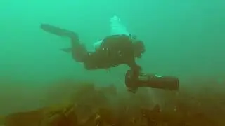 Buceo en la r&iacute;a de Ferrol, Punta San Carlos, Melgacho Point