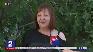 Trebinje: Iz kamena je davno nikla smokva za koju niko ne zna koliko je stara