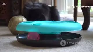 Spy Cat vs. Treat Bag: Mission Possible