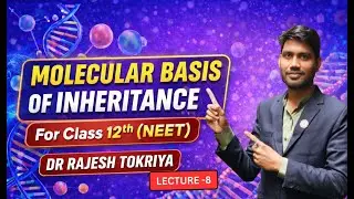 Lecture - 8  MOLECULAR BASIS OF INHERITANCE | By Dr Rajesh Sir