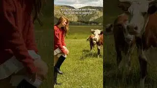 Опасный рогатый скот 🙈🐄 #коровы #pinterest #природа #neutrals #отпуск #фото #fotografia #vlog