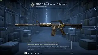Showing the M4A1-S Mud-Spec Skin &ndash; Special Item from Paris Major