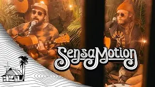SensaMotion -  Lifted Spirits (Live Music) | Sugarshack Sessions