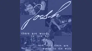 Josh's Dream Party